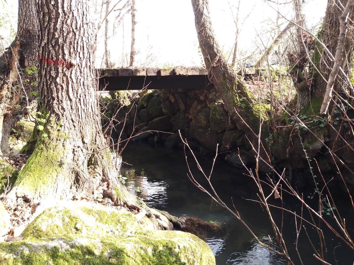Q.Ta Moinhos Da Ponte Otel Tábua Dış mekan fotoğraf
